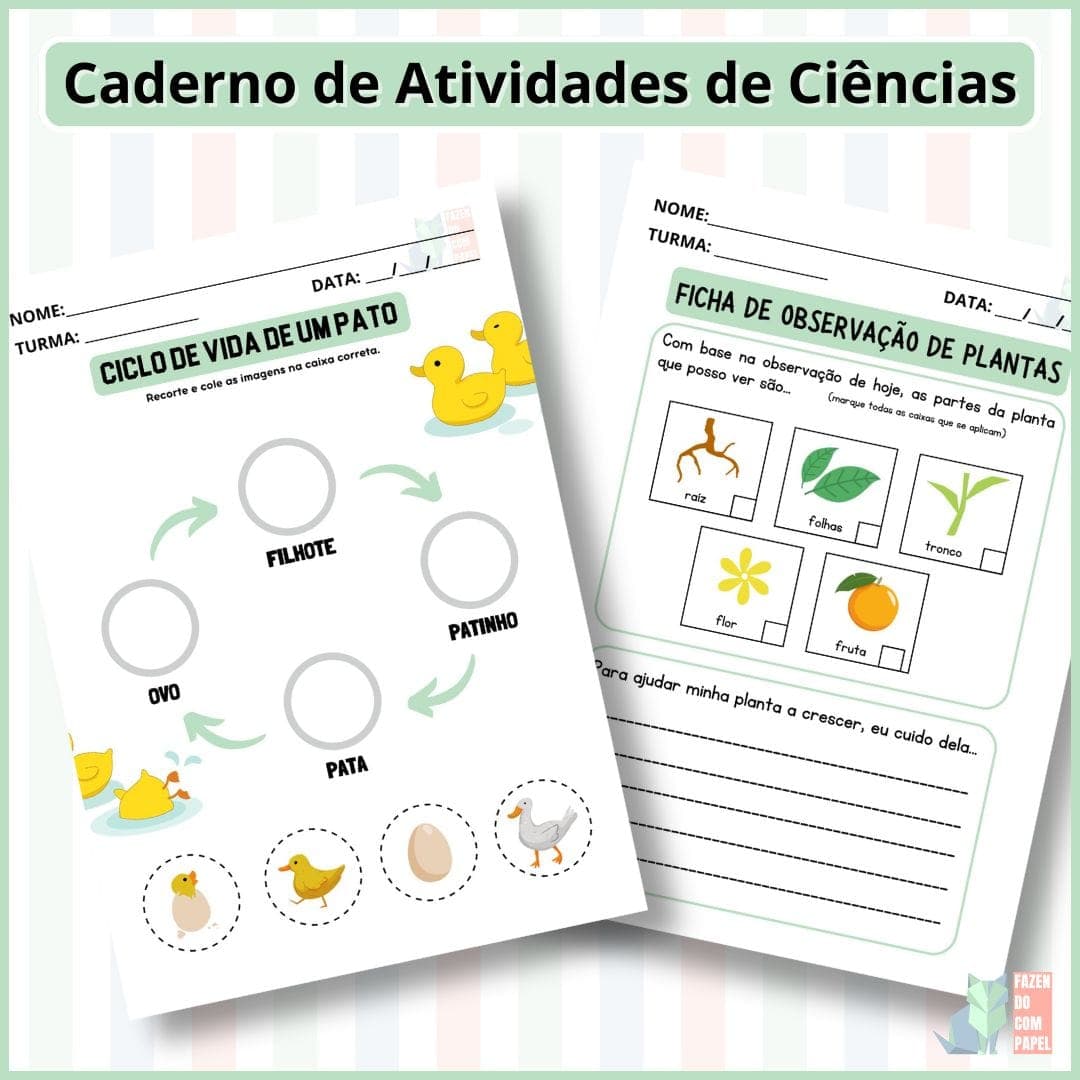 Caderno de Atividades de Ciências — imagem 3