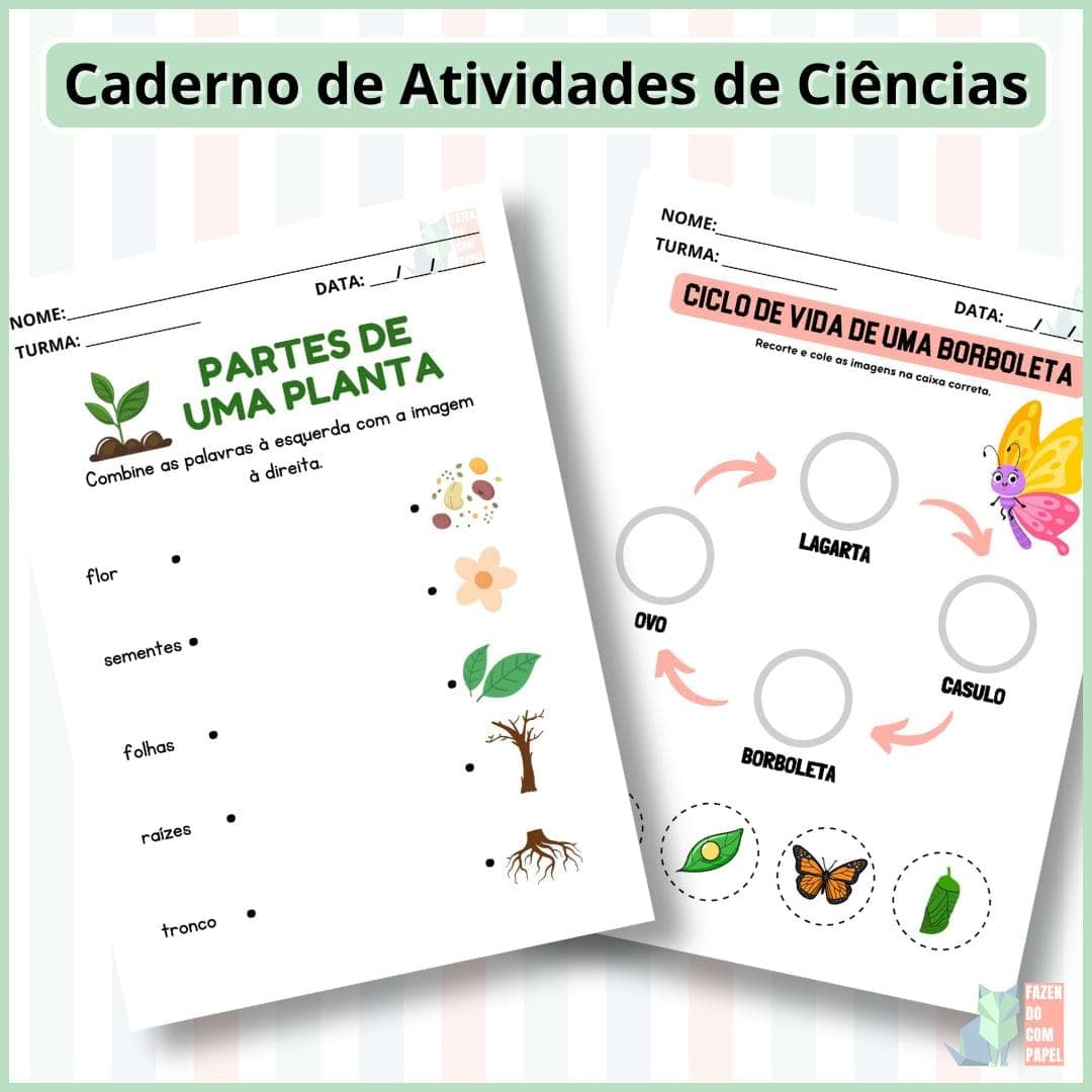 Caderno de Atividades de Ciências — imagem 5