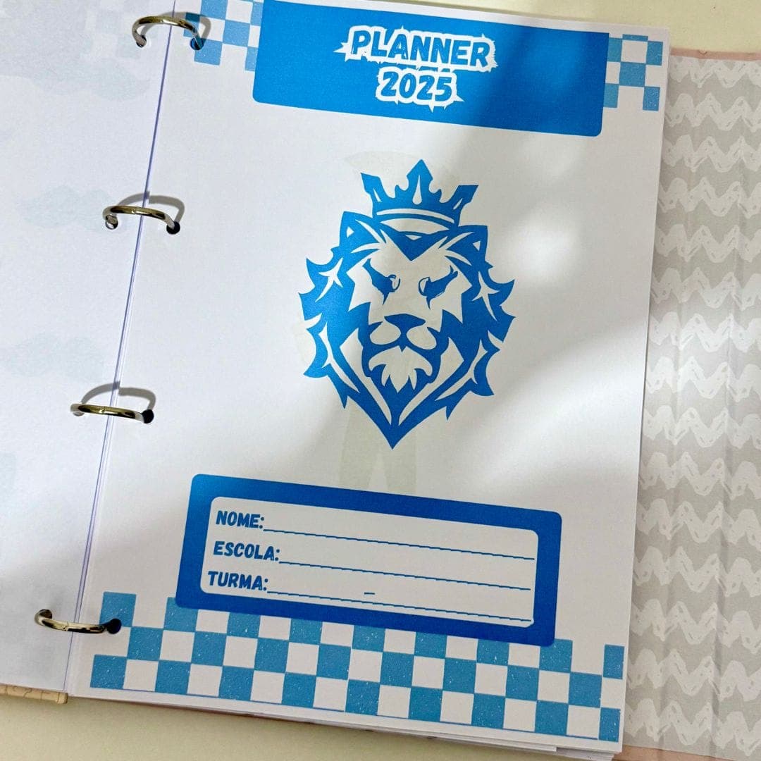 Planner Professor 2025 — imagem 3