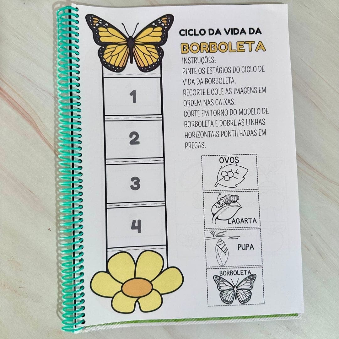 Sequência Temporal — imagem 4