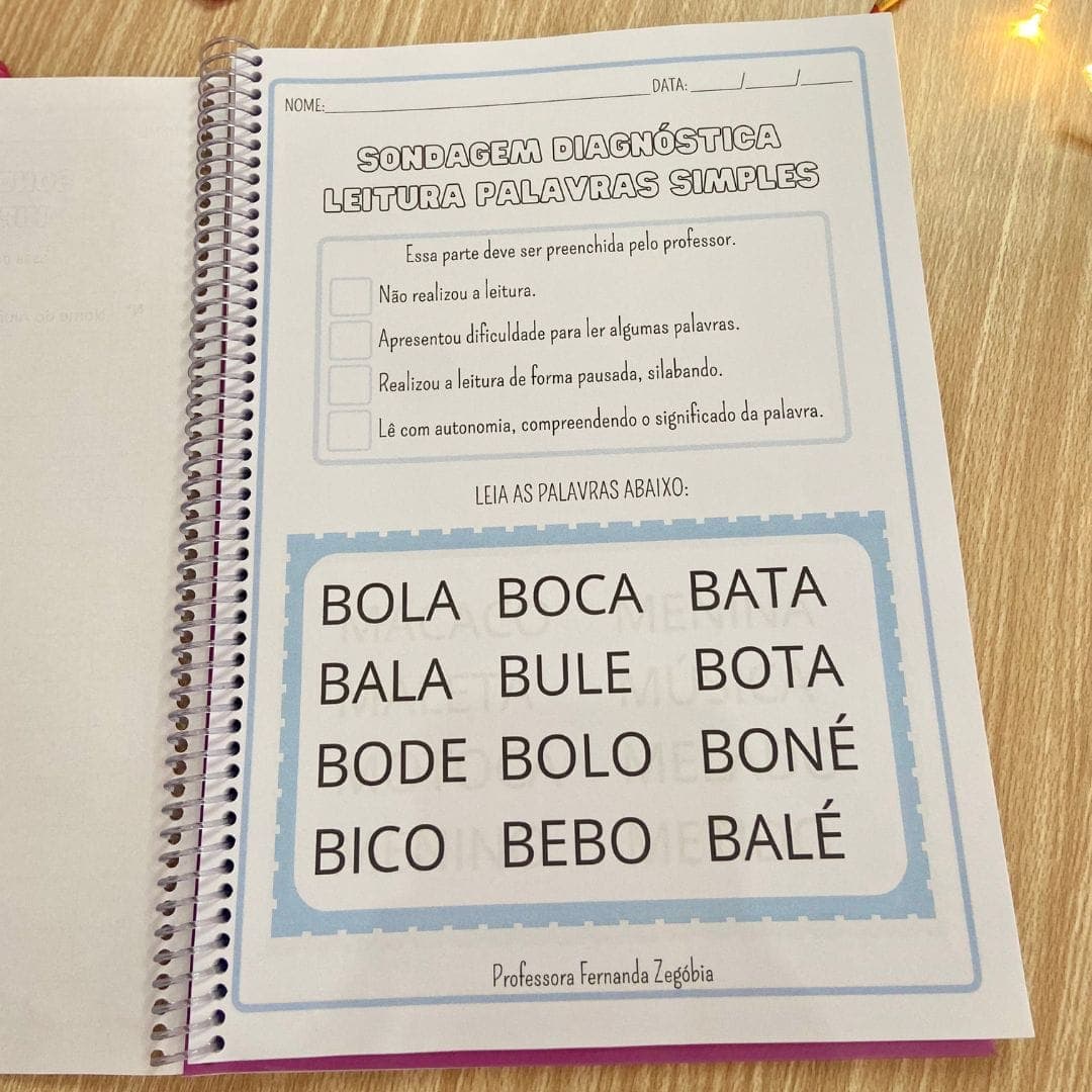 Apostila Sondagem Diagnóstica — imagem 2