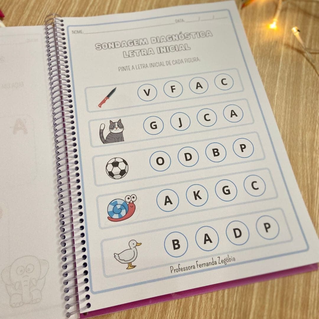 Apostila Sondagem Diagnóstica — imagem 3