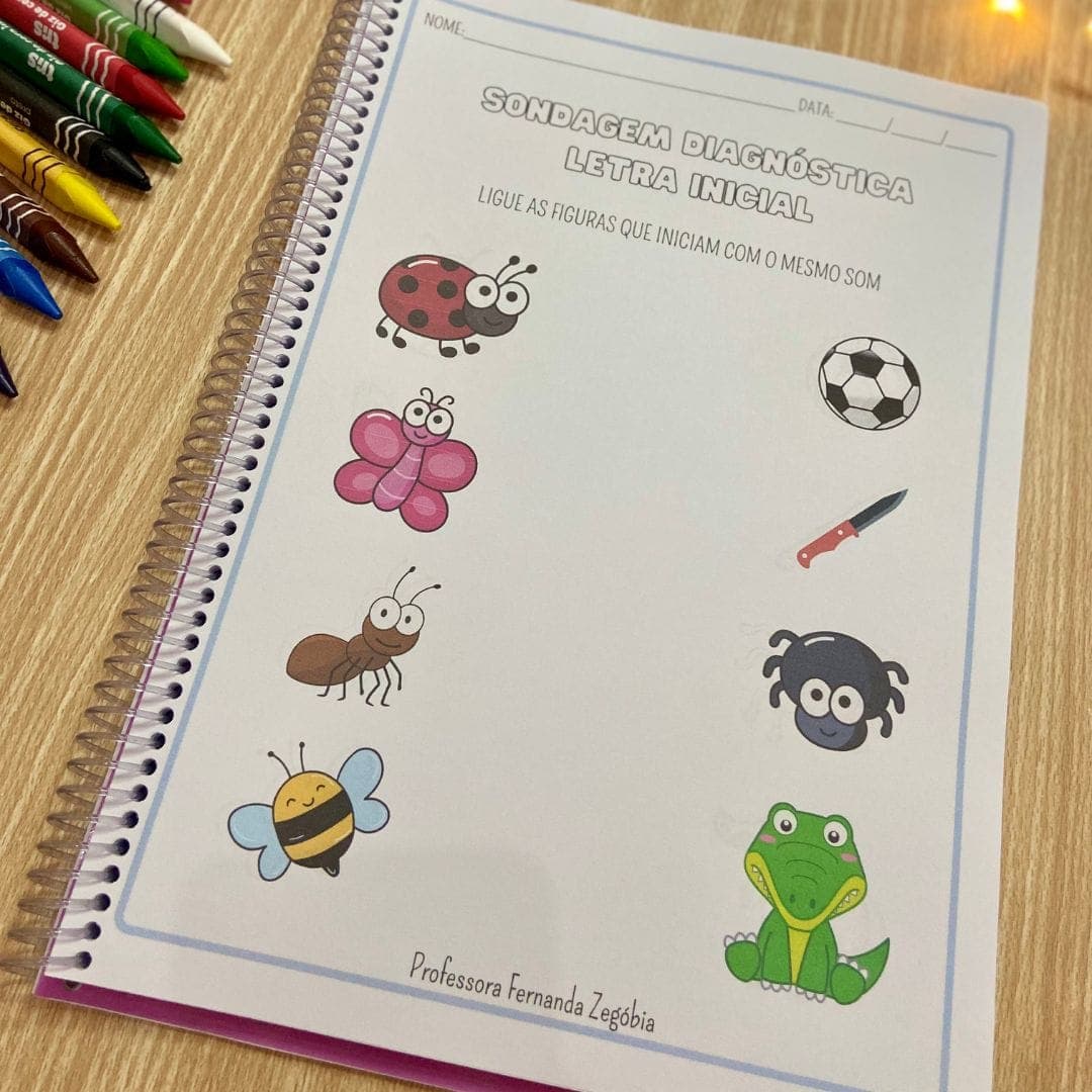 Apostila Sondagem Diagnóstica — imagem 4